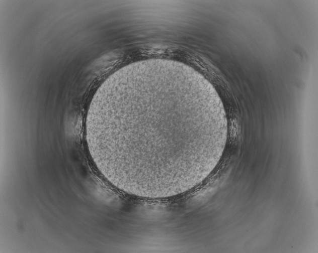 X0000111370820200908071212