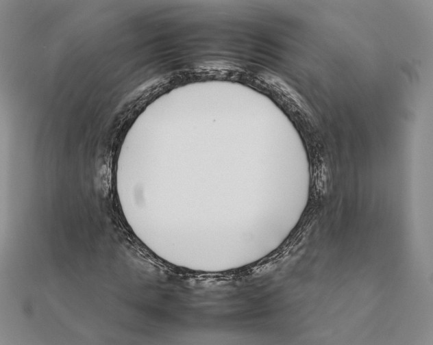 X0000111370821200908071212
