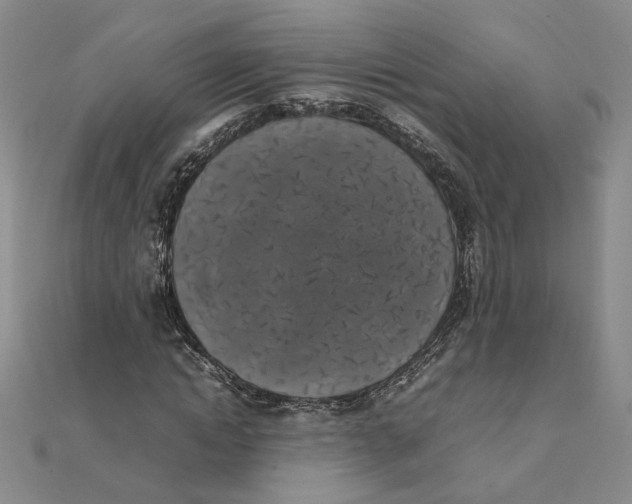 X0000111370822200908071212