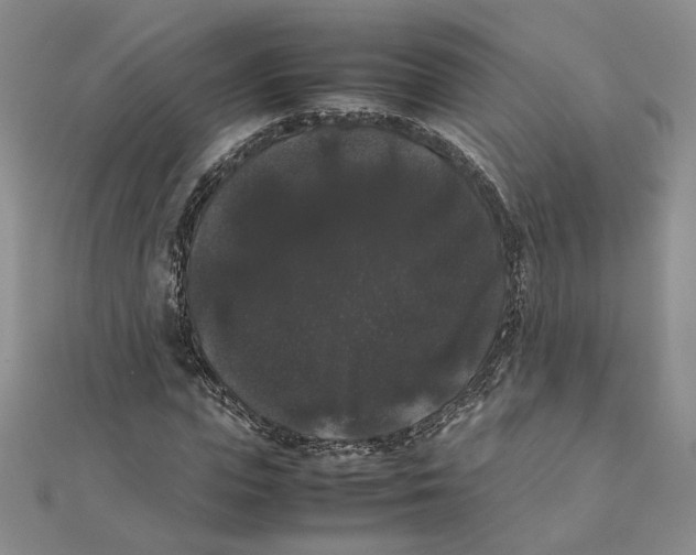 X0000111370823200908071212