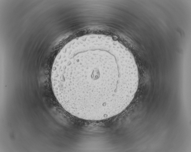 X0000111370824200908071212