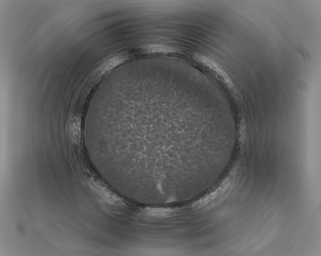 X0000111370825200908071212