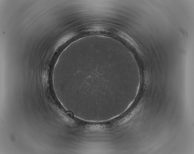 X0000111370826200908071212