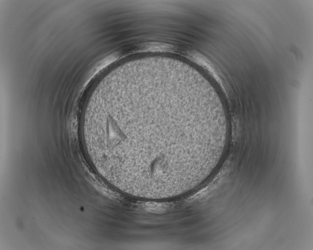 X0000111370827200908071212