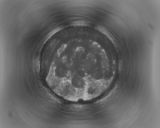 X0000111370829200908071212