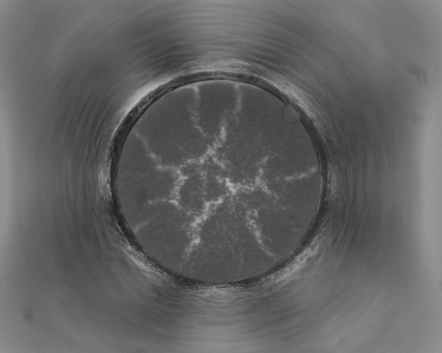 X0000111370830200908071212