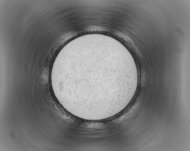 X0000111370833200908071212