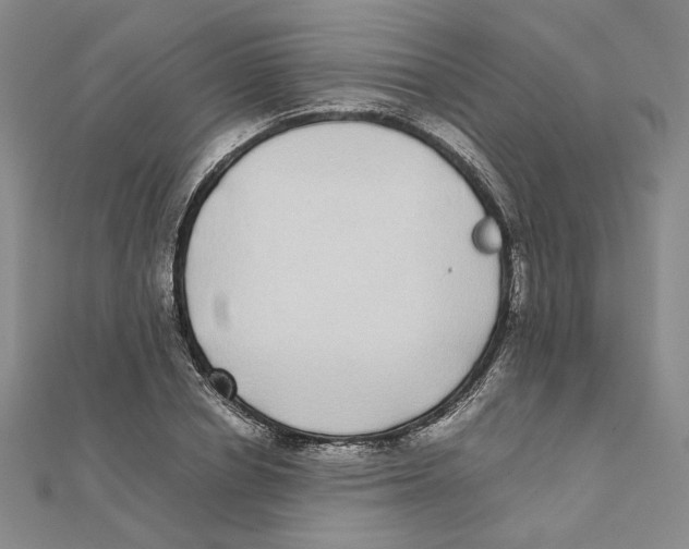 X0000111370834200908071212