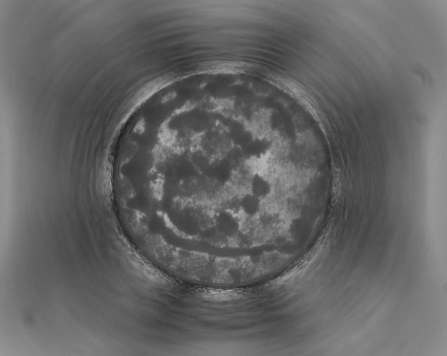 X0000111370835200908071212