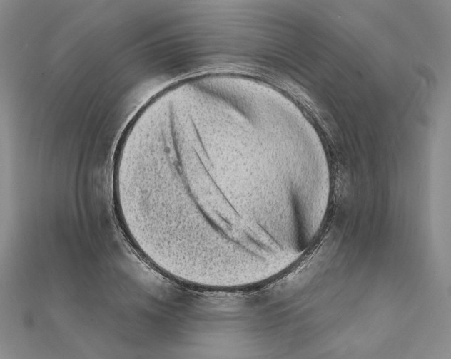 X0000111370836200908071212