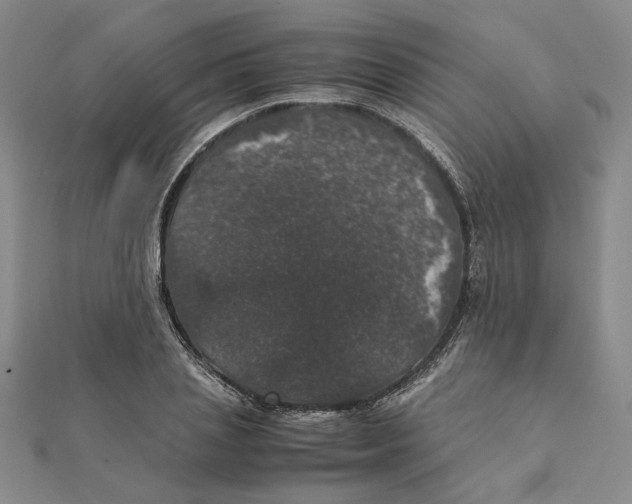 X0000111370837200908071212