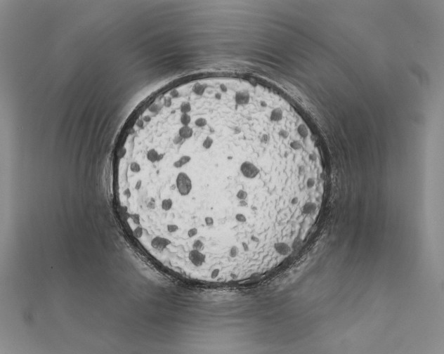 X0000111370838200908071212