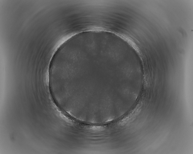 X0000111370839200908071212