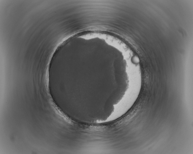 X0000111370840200908071212