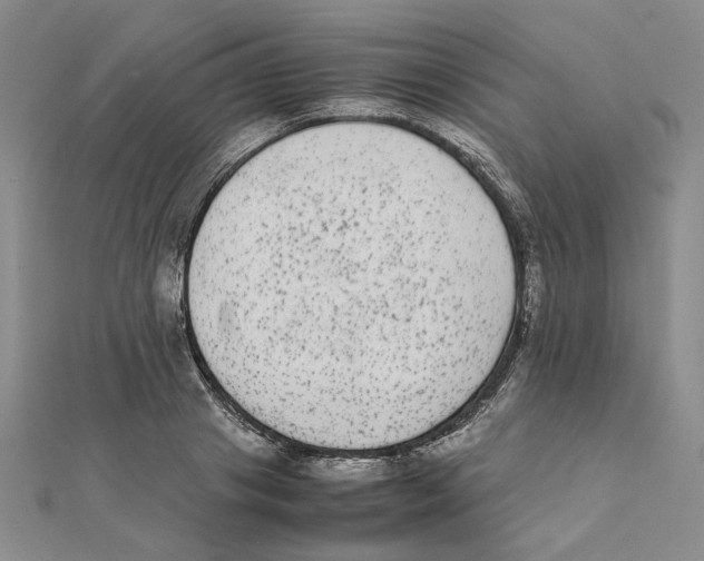 X0000111370841200908071212