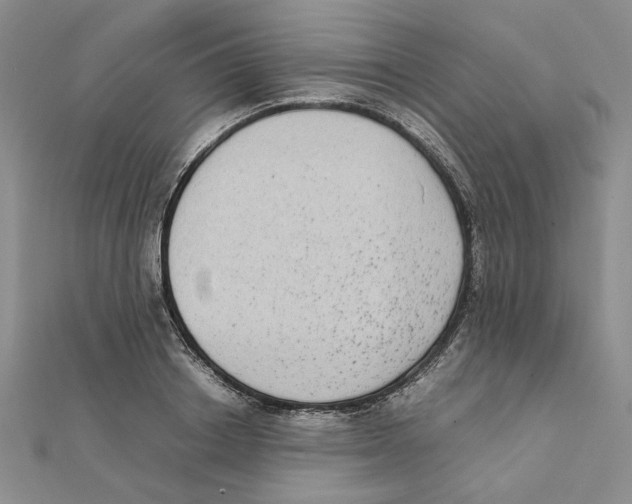X0000111370842200908071212
