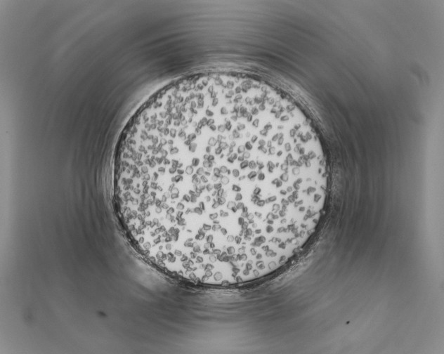 X0000111370844200908071212