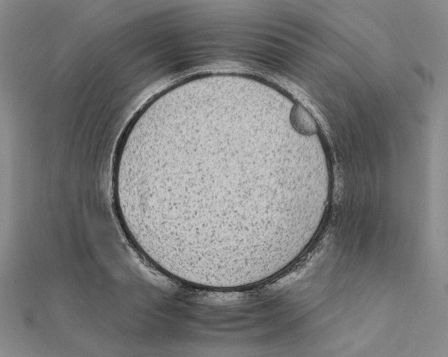 X0000111370845200908071212