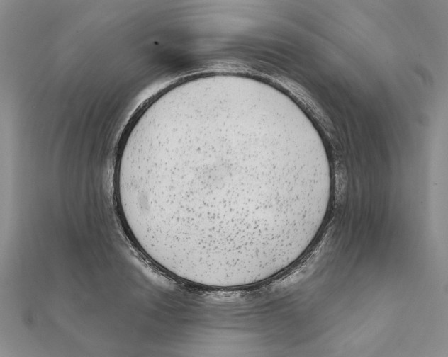 X0000111370846200908071213
