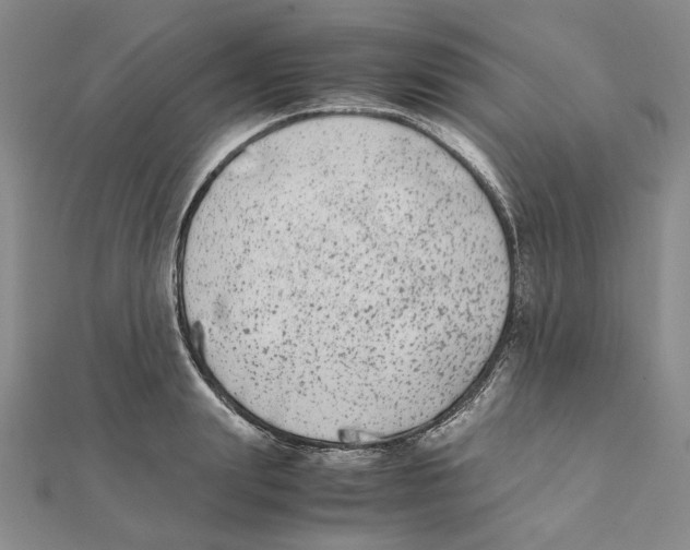 X0000111370847200908071213