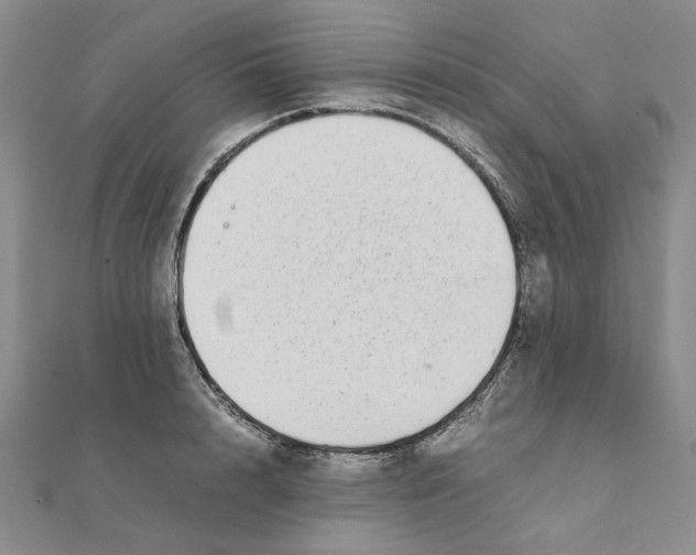 X0000111370848200908071213