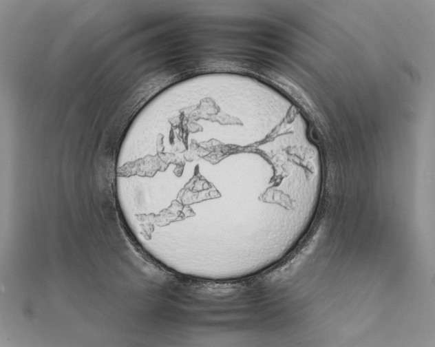 X0000111370849200908071213