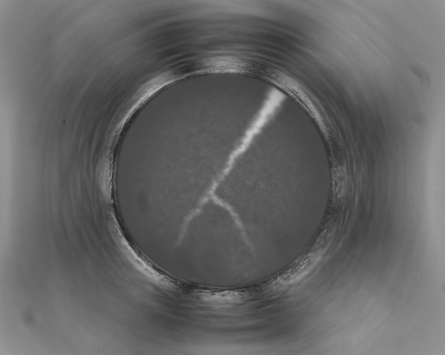 X0000111370851200908071213