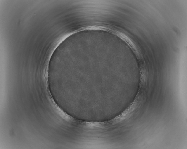 X0000111370852200908071213