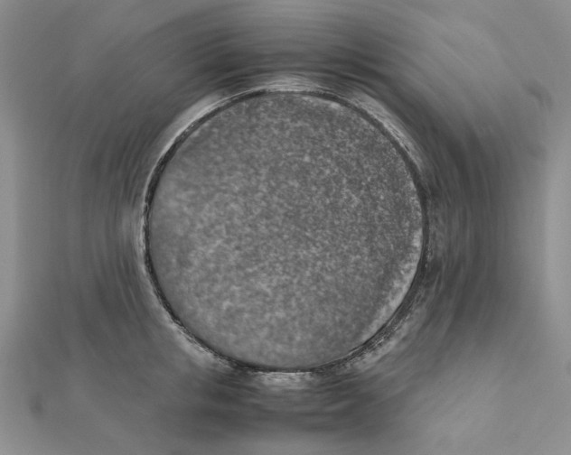 X0000111370853200908071213