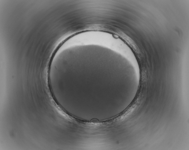 X0000111370854200908071213