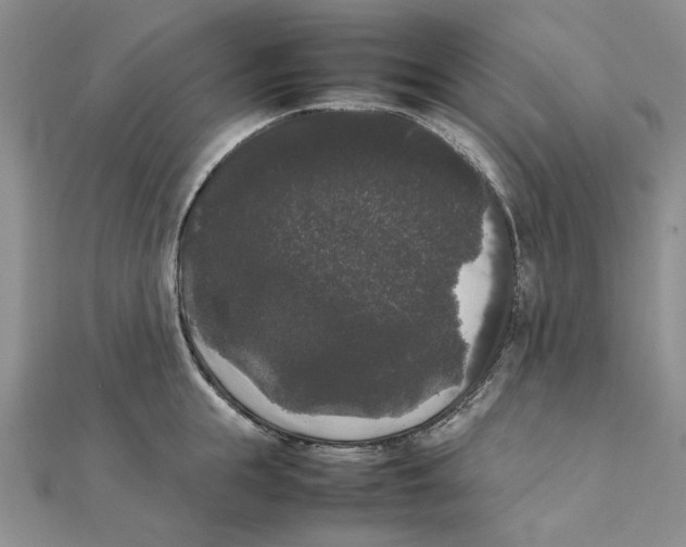 X0000111370855200908071213