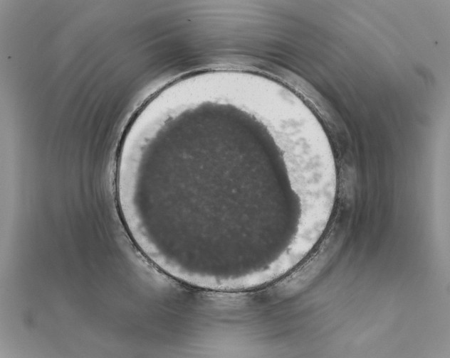 X0000111370856200908071213