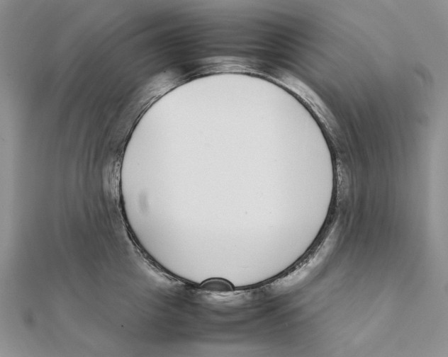 X0000111370857200908071213