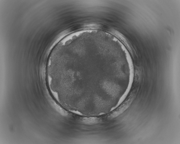 X0000111370859200908071213