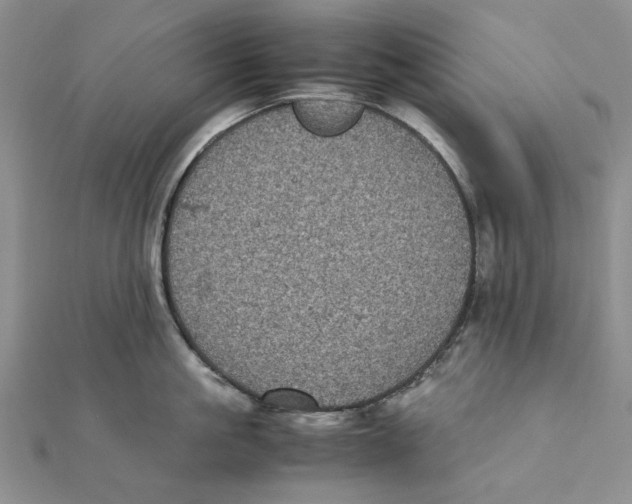 X0000111370861200908071213