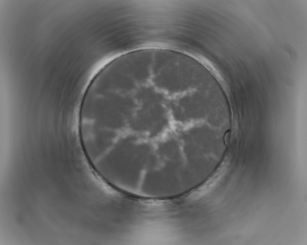 X0000111370862200908071213