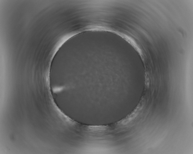 X0000111370863200908071213