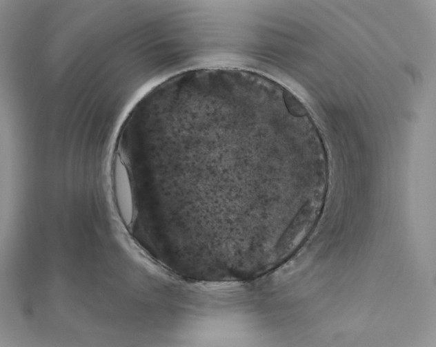 X0000111370864200908071213