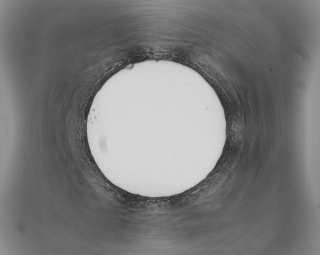 X0000111370865200908071212