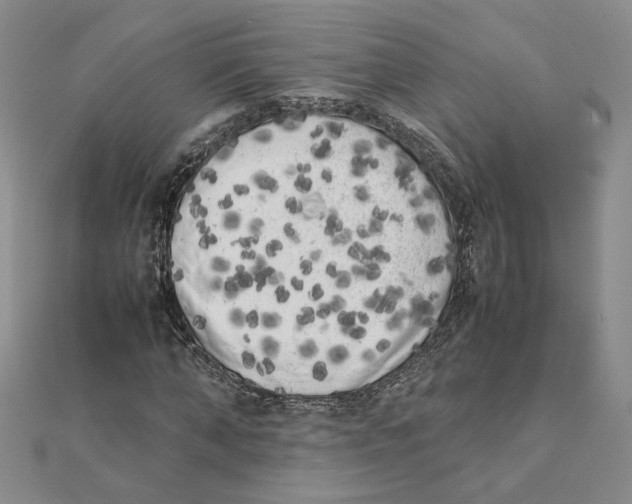 X0000111370870200908071212
