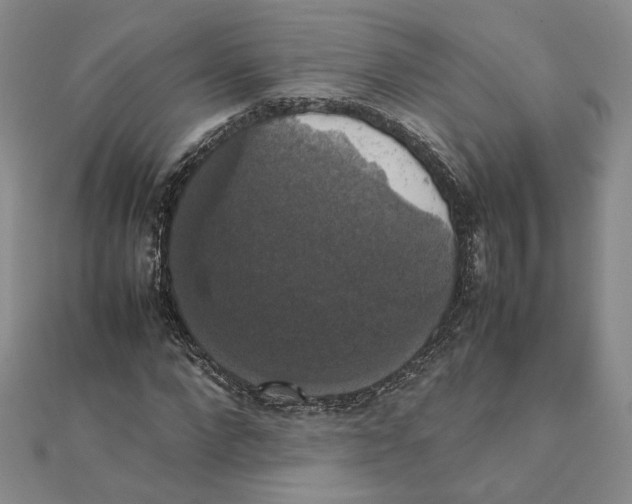 X0000111370872200908071212