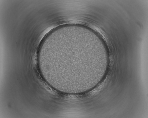 X0000111370875200908071212