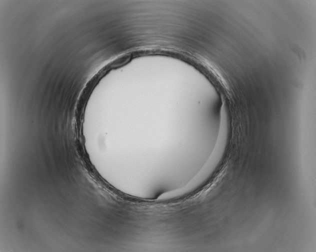 X0000111370876200908071212
