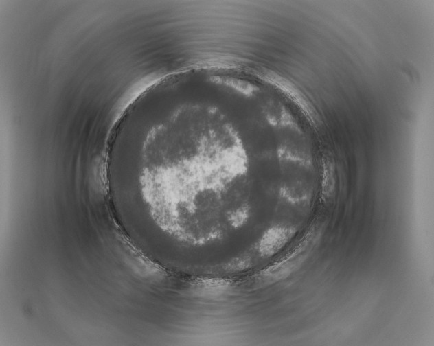 X0000111370878200908071212