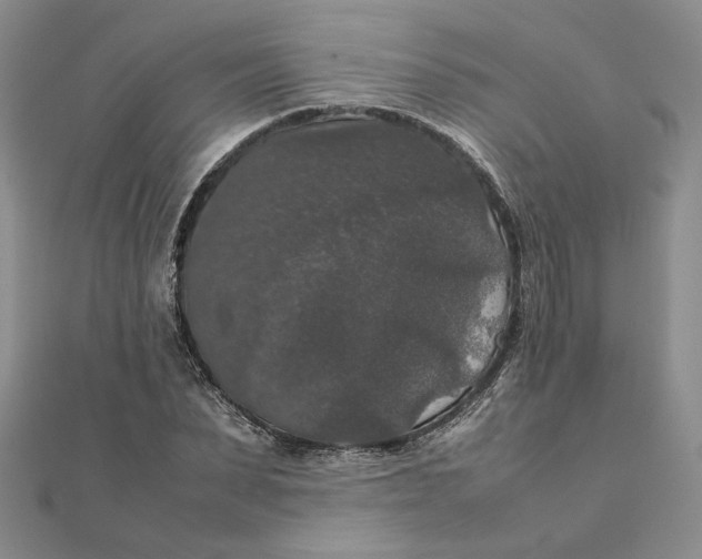 X0000111370879200908071212
