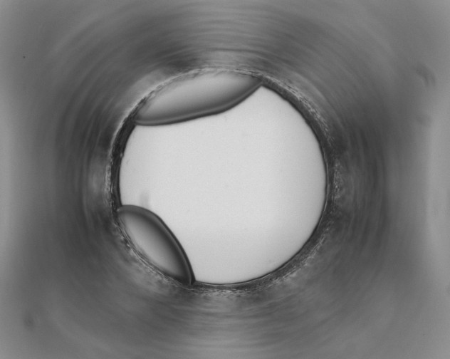 X0000111370880200908071212