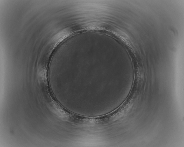 X0000111370881200908071212