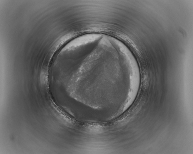 X0000111370882200908071212