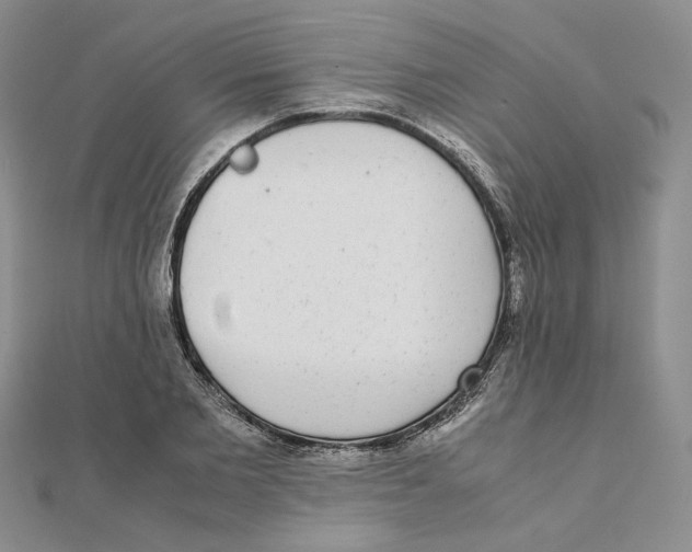 X0000111370885200908071212