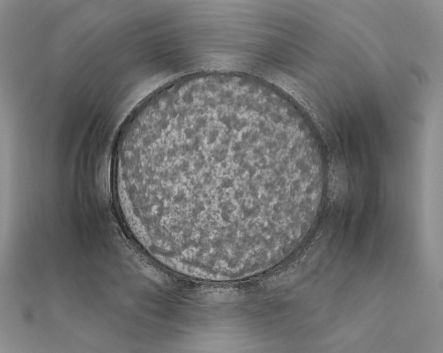 X0000111370886200908071212